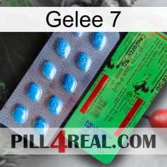 Jelly 7 new03
